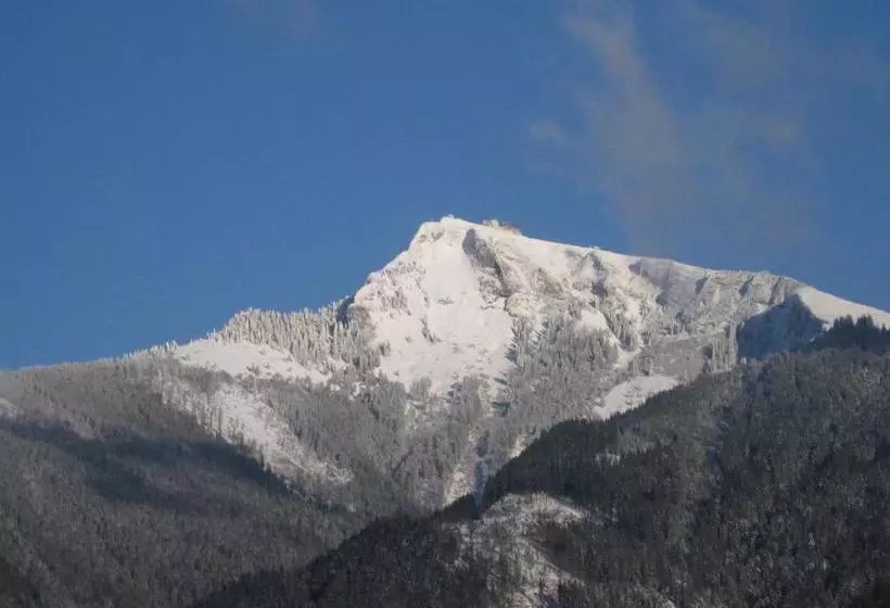 ベッドアンドブレックファースト Rosam