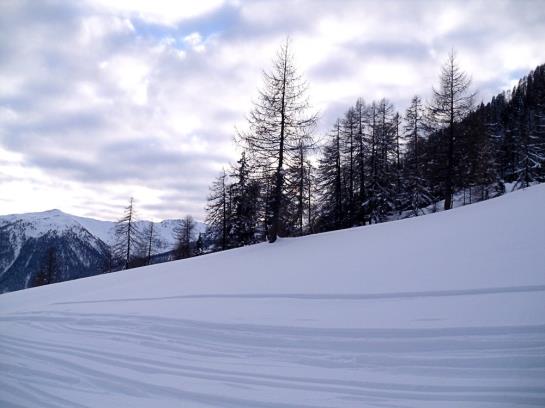 Пансион Bachmann Gasthof