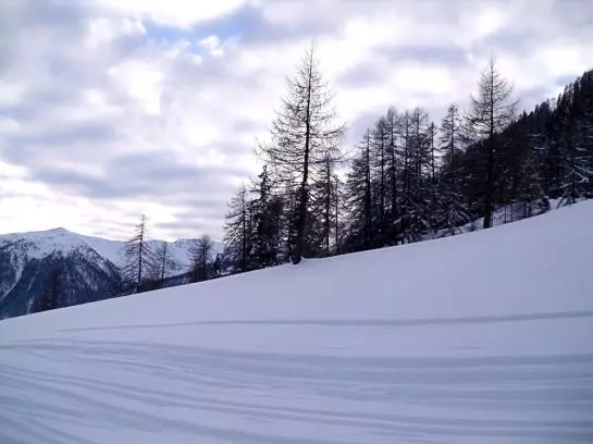 Пансион Bachmann Gasthof