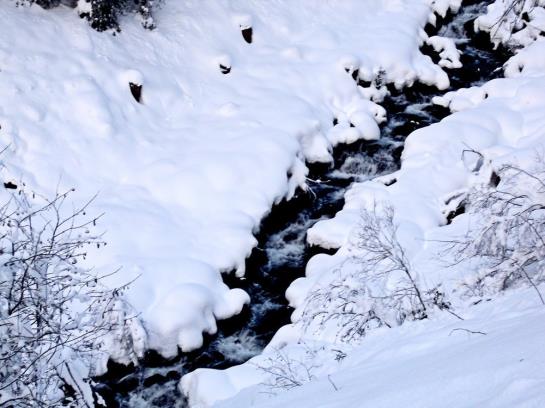 Пансион Bachmann Gasthof