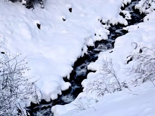 Пансион Bachmann Gasthof