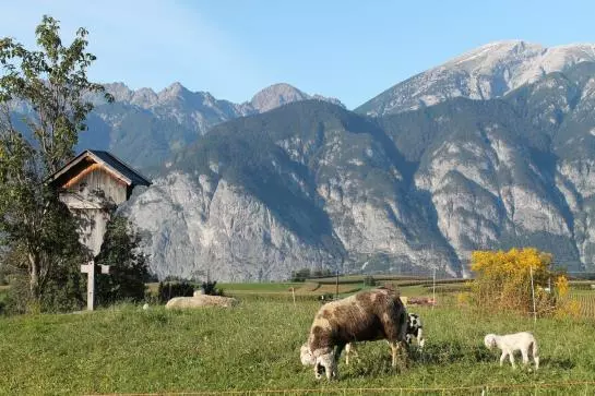 Bauernhof Hepperger - Funerhof
