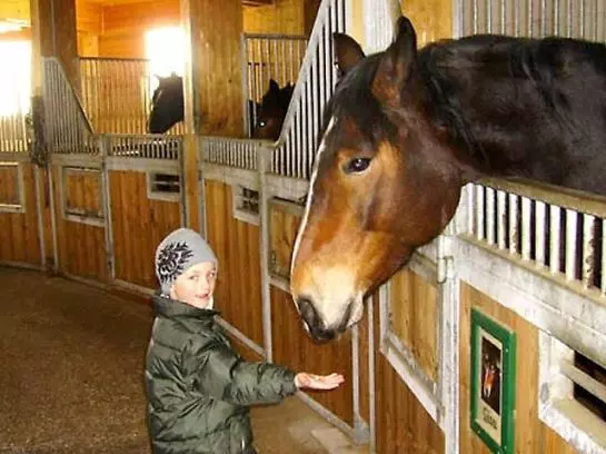 Bauernhof  Untergrub