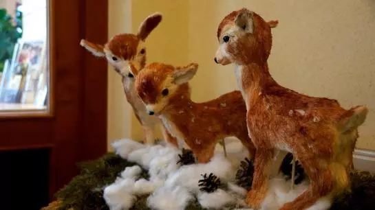 ペンション Familienhotel Berger