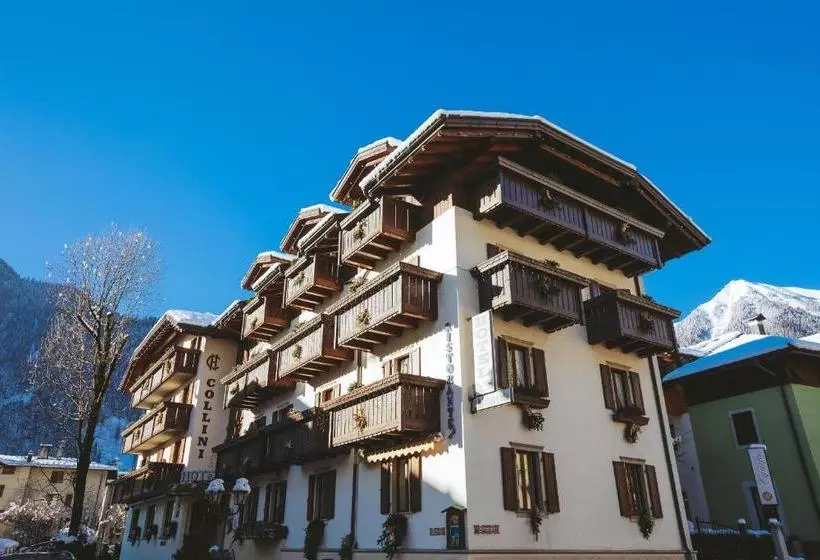 Hotel Collini