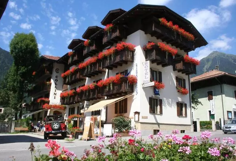 Hotel Collini