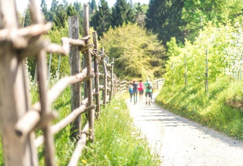 Отель Mondschein Rooms