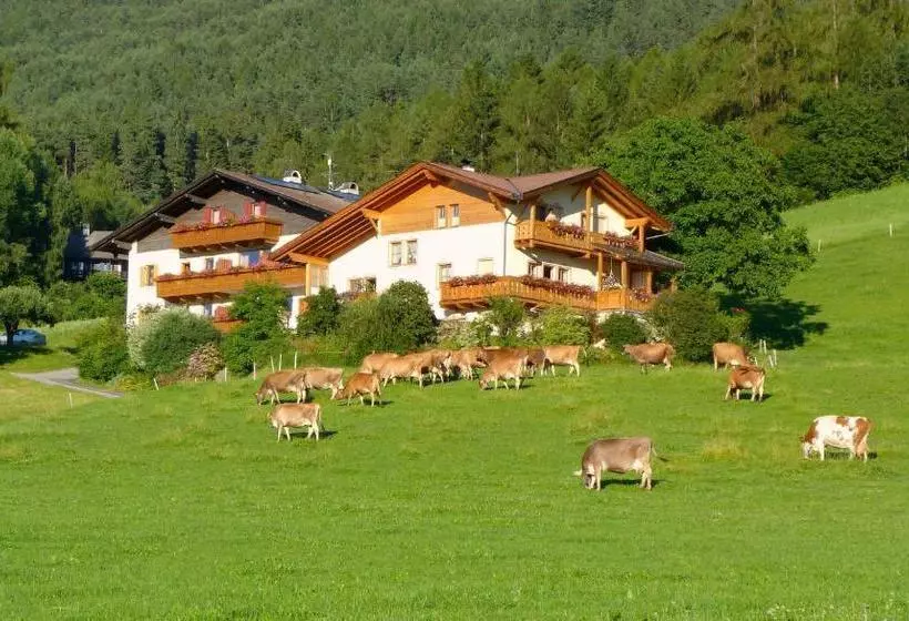 فندق Pension Summererhof