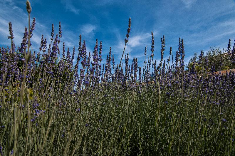 فندق Relais Casina Miregia