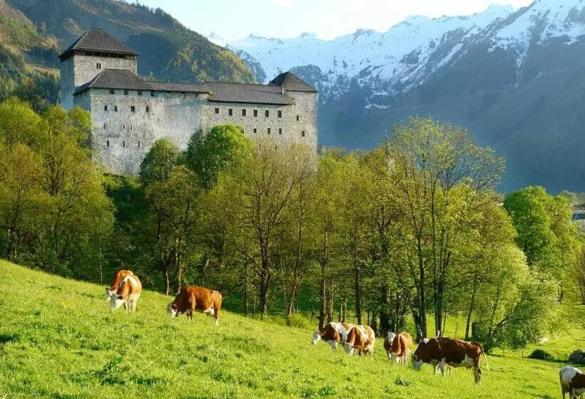 هتل Simone S Platzerl