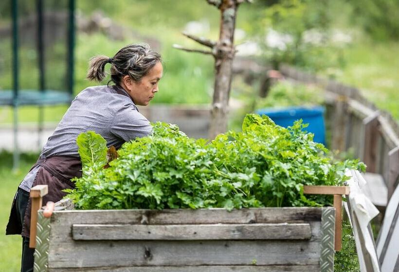 Пансион Alpengasthof Zollwirt