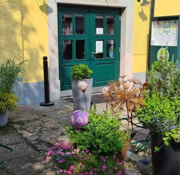 펜션 Gasthof Zur Strass