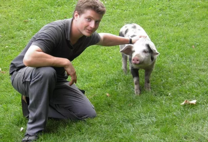 膳宿费 Gasthof Waldemar