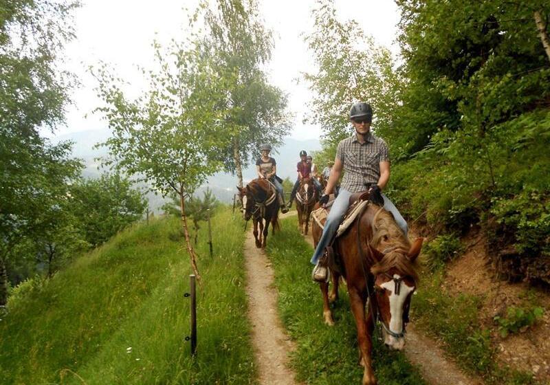 Wohlfühlbauernhof Siebernegg