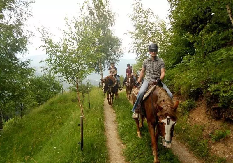 Wohlfühlbauernhof Siebernegg