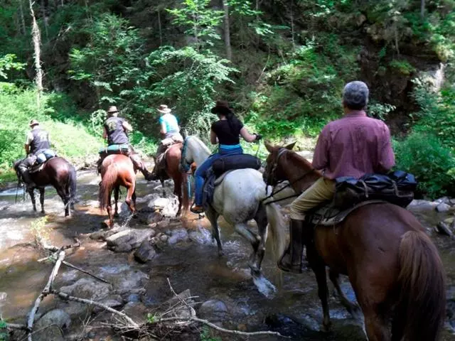 Wohlfühlbauernhof Siebernegg
