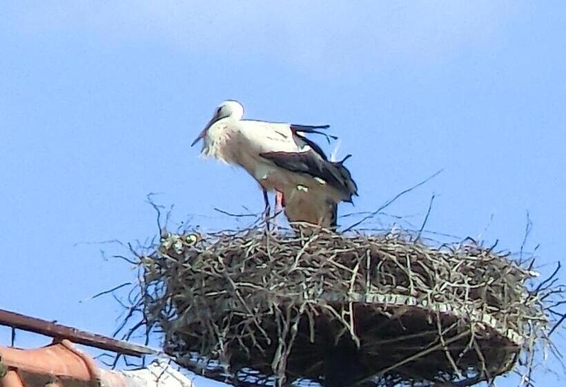 Bed and Breakfast Pension Eichschmid / Röll´n Biergarten