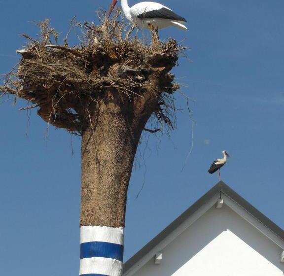 Bed and Breakfast Pension Eichschmid / Röll´n Biergarten