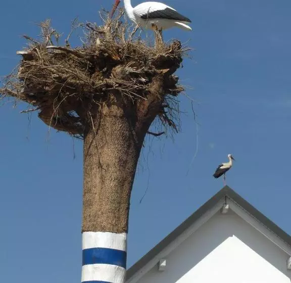 Bed and Breakfast Pension Eichschmid / Röll´n Biergarten