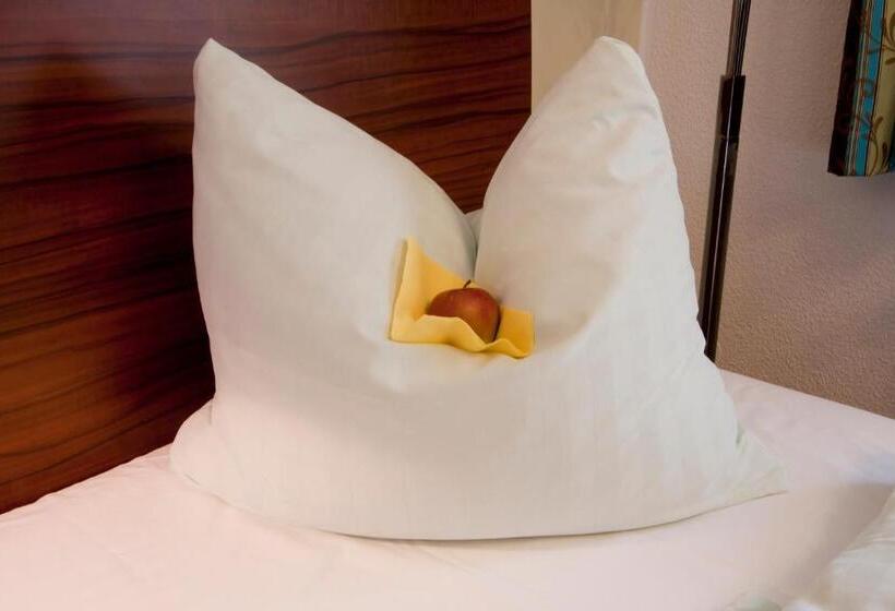 בית מלון כפרי Burgwirt