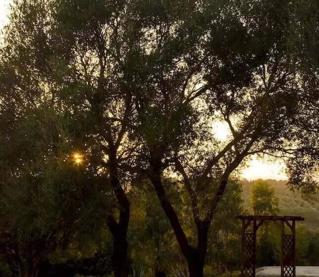 Отель Villa Cedrino