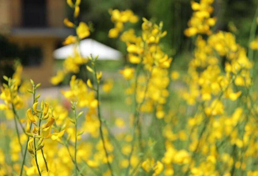 فندق La Valle De Medici