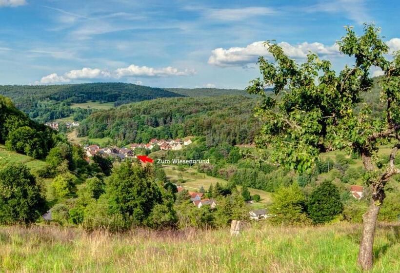 호텔 Zum Wiesengrund