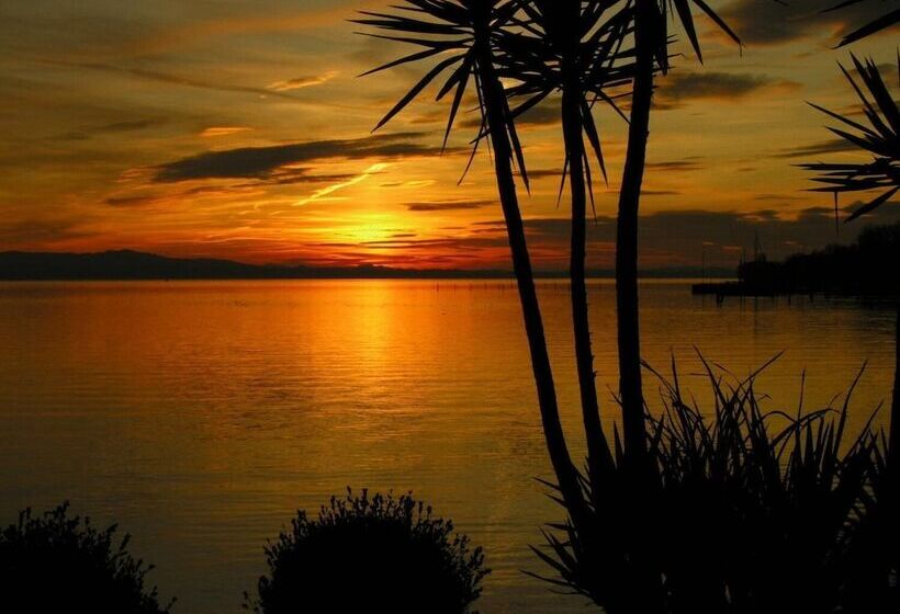 住宿加早餐  Pension Am Bodensee