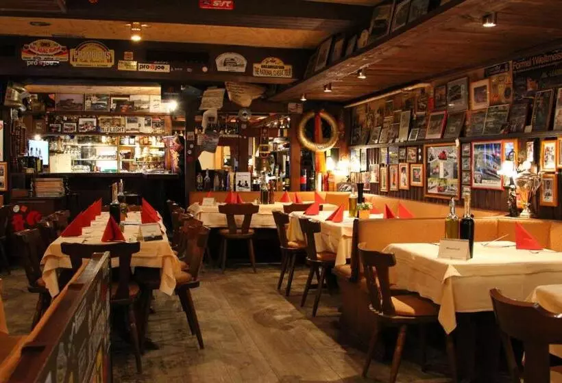 酒店 Am Tiergarten