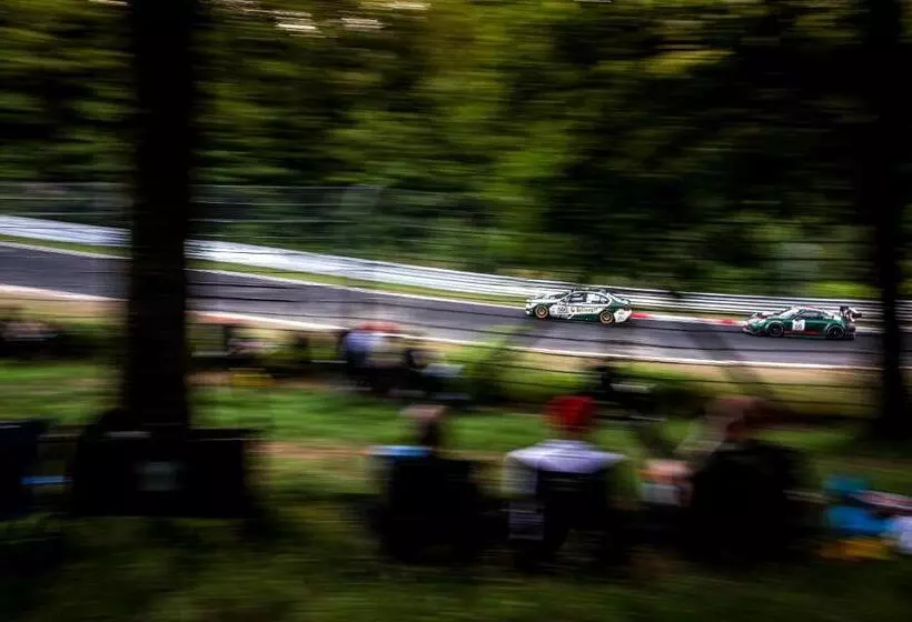 酒店 Am Tiergarten