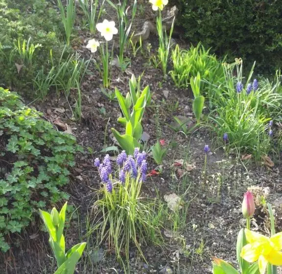 Hotel Bertricher Hof