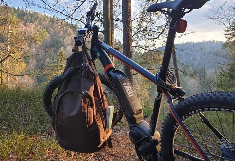 Отель Das Reiners