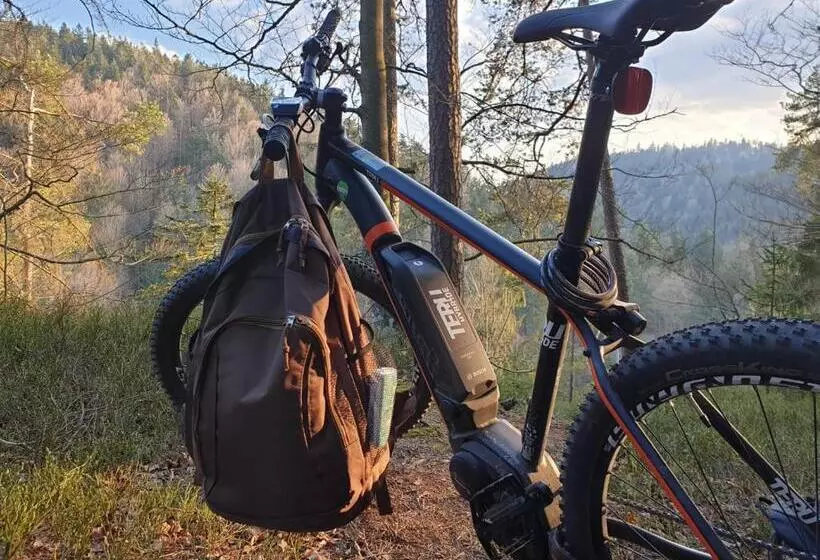 Отель Das Reiners