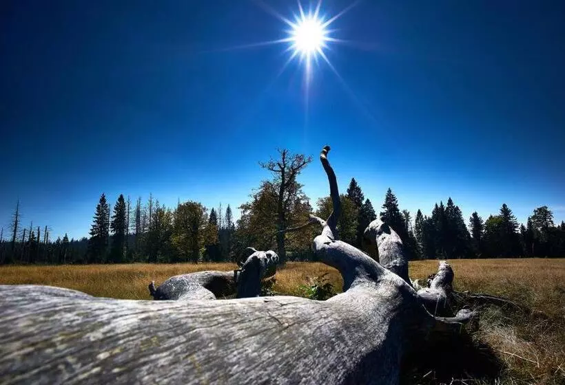 Отель Das Reiners