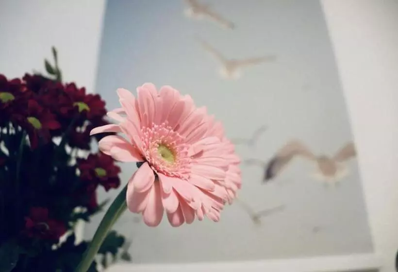 Hotel Garni Möwe Am See