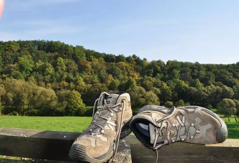 ホテル Haus Wiesengrund