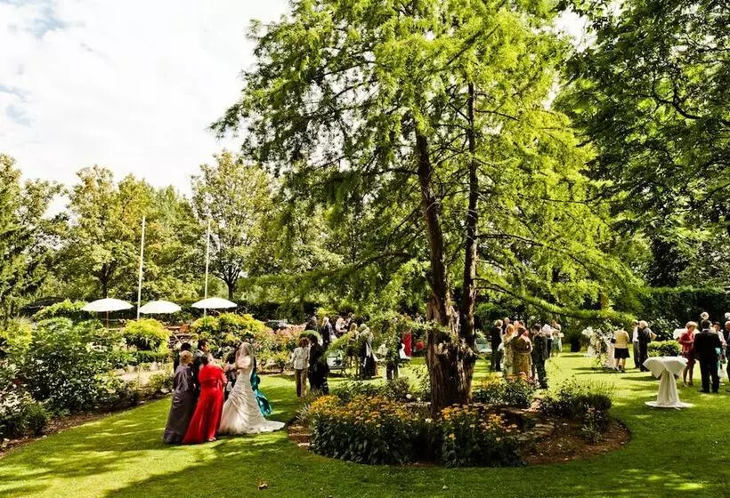 Отель Kronenschlosschen