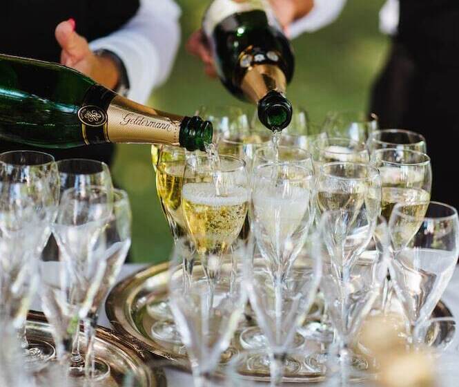 호텔 Kronenschlosschen