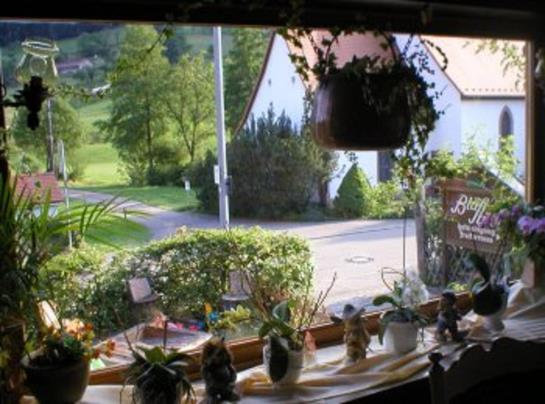 פנסיון Landgasthof Bläsi-stüble