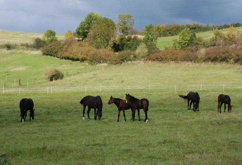 酒店 Pferdezentrum Edersee