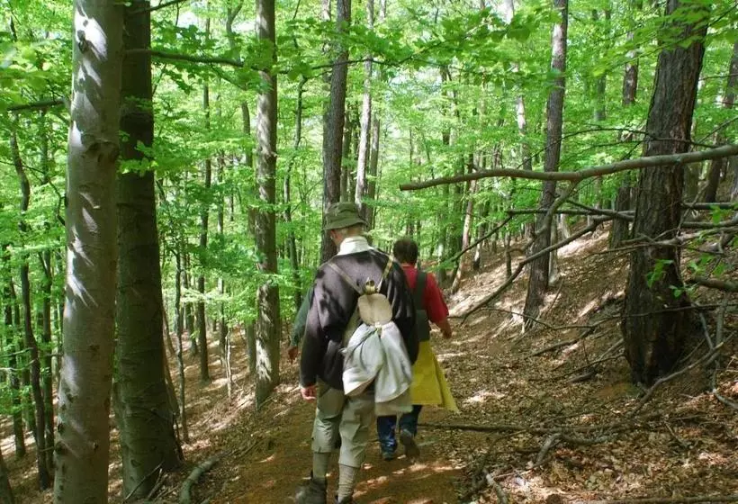 Отель Pferdezentrum Edersee