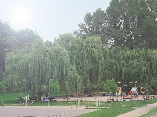 Отель Rheinkrone