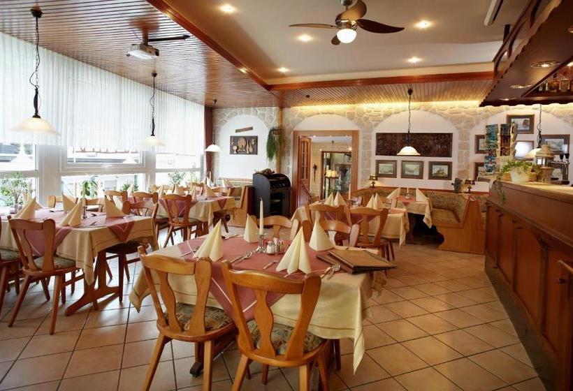 Hotelli Singender Wirt