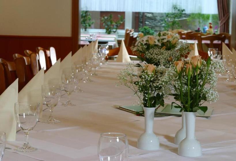 Hotelli Singender Wirt