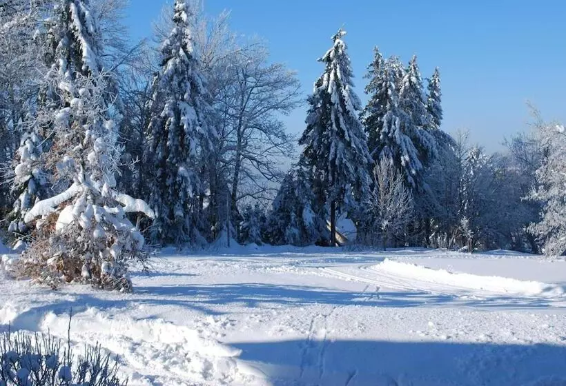 Vitalhotel Sonneneck