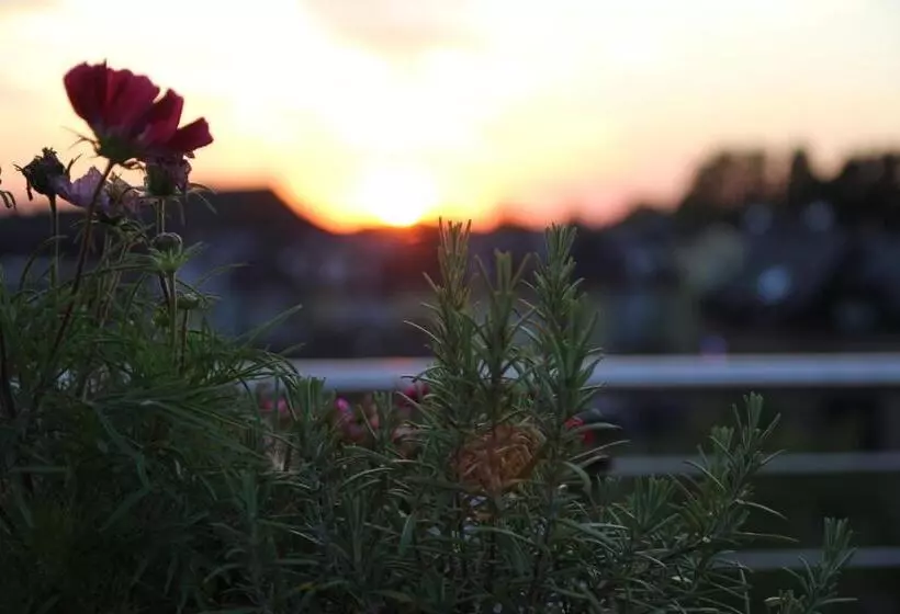 König`s Hotel Am Schlosspark