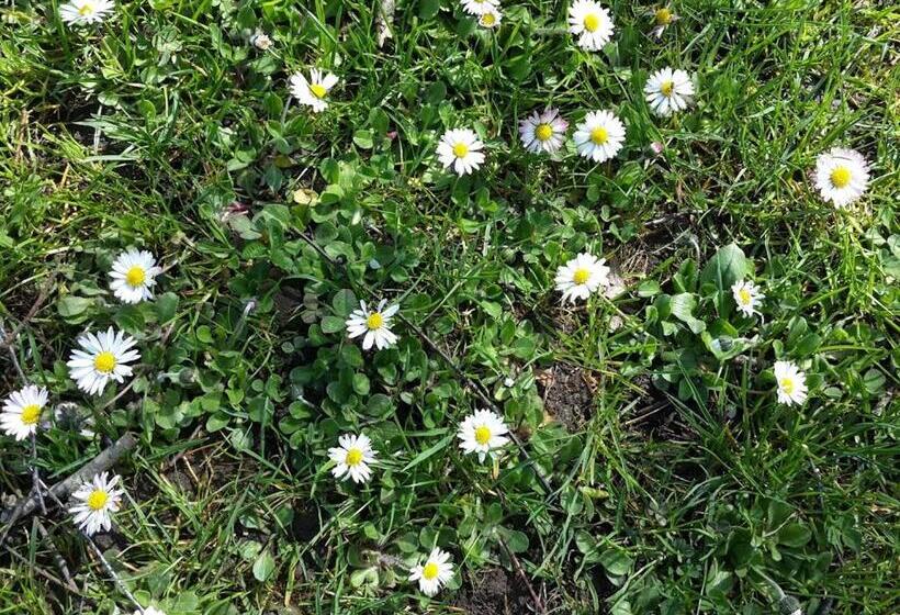 Landhotel Zur Grenze