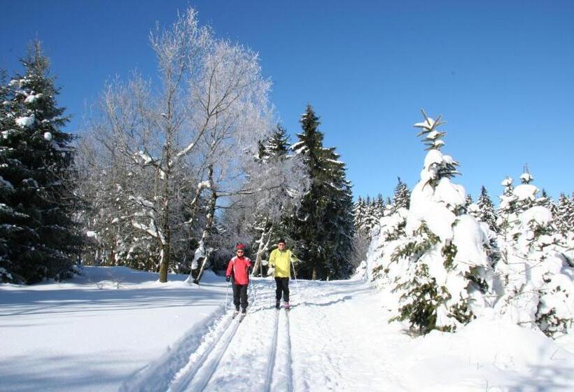 ペンション Gasthaus Tröster