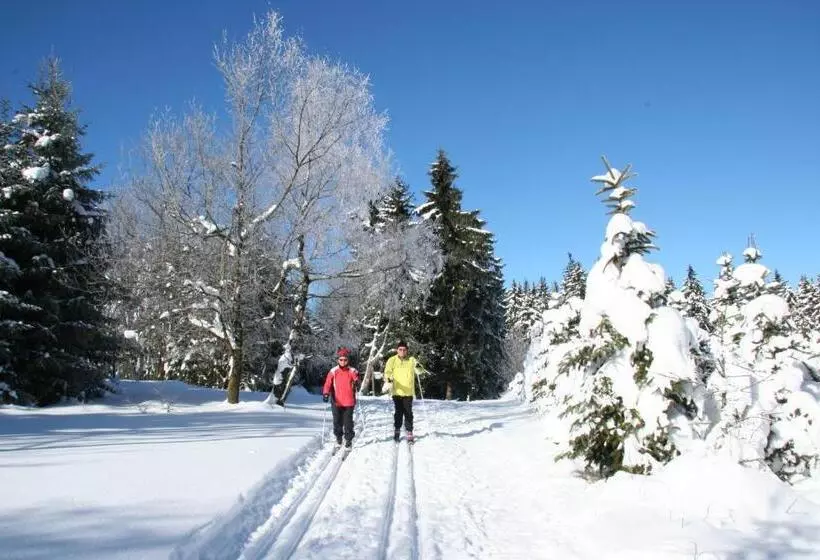 Пансион Gasthaus Tröster