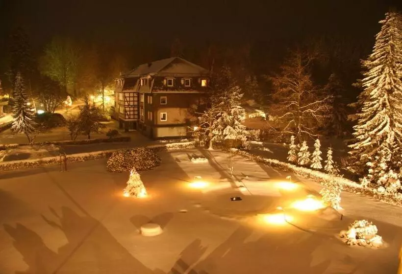 Пансион Gasthaus Tröster